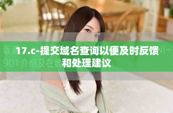 17.c-提交域名查詢以便及時(shí)反饋和處理建議