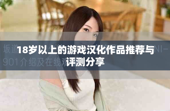 18歲以上的游戲漢化作品推薦與評(píng)測(cè)分享