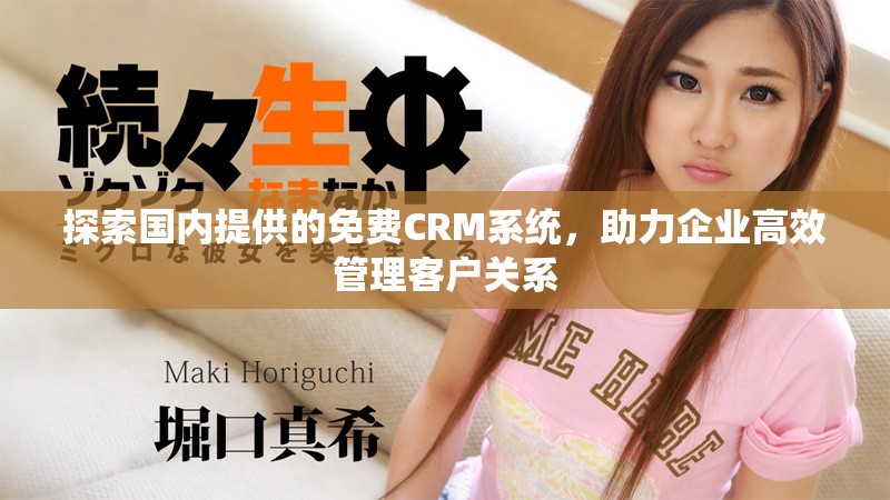 探索國內(nèi)提供的免費CRM系統(tǒng)，助力企業(yè)高效管理客戶關(guān)系