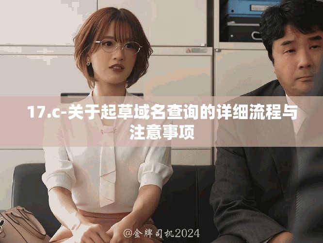 17.c-關(guān)于起草域名查詢的詳細流程與注意事項