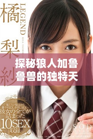 探秘狼人加魯魯獸的獨(dú)特天賦及澳彩心水分析技巧