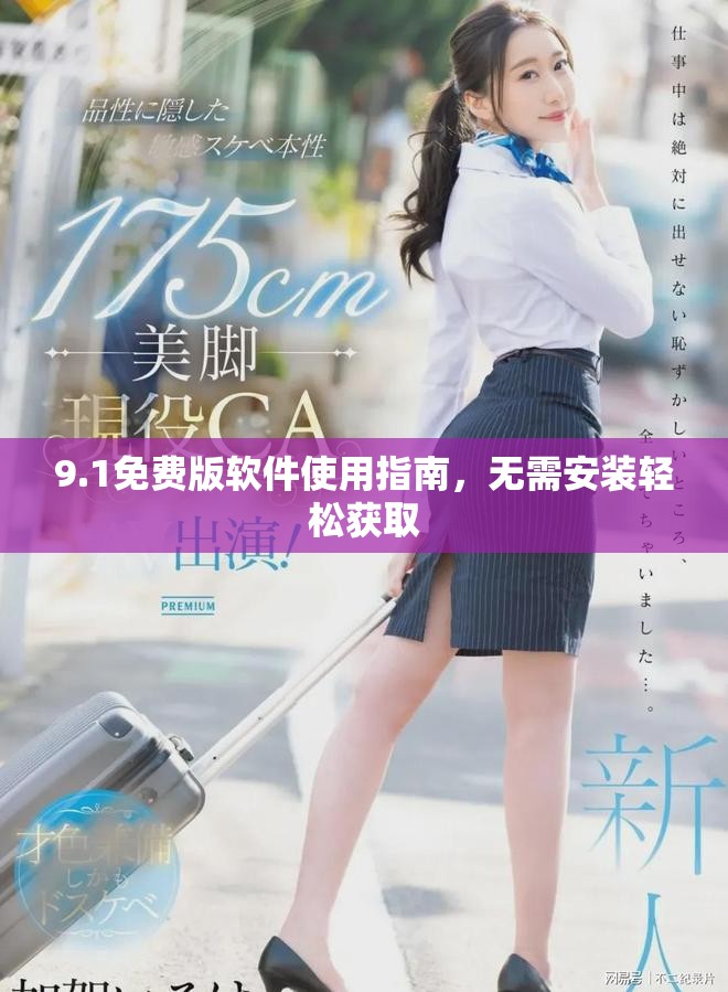 9.1免費(fèi)版軟件使用指南，無需安裝輕松獲取
