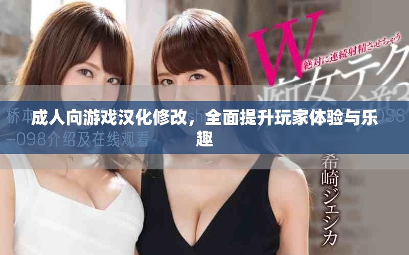 成人向游戲漢化修改，全面提升玩家體驗(yàn)與樂趣