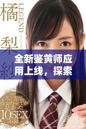全新鑒黃師應(yīng)用上線，探索網(wǎng)絡(luò)內(nèi)容安全的新方式與新技術(shù)