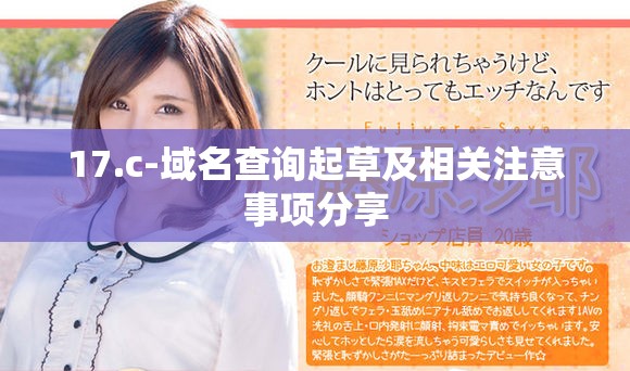 17.c-域名查詢起草及相關(guān)注意事項分享