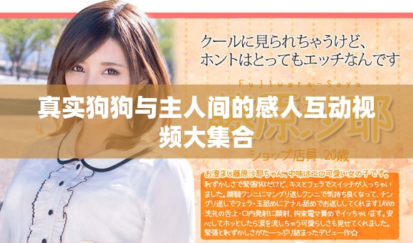 真實(shí)狗狗與主人間的感人互動(dòng)視頻大集合