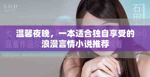 溫馨夜晚，一本適合獨(dú)自享受的浪漫言情小說(shuō)推薦