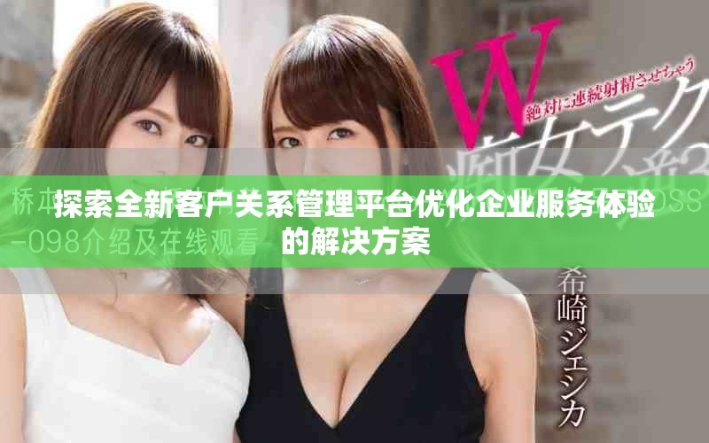 探索全新客戶(hù)關(guān)系管理平臺(tái)優(yōu)化企業(yè)服務(wù)體驗(yàn)的解決方案
