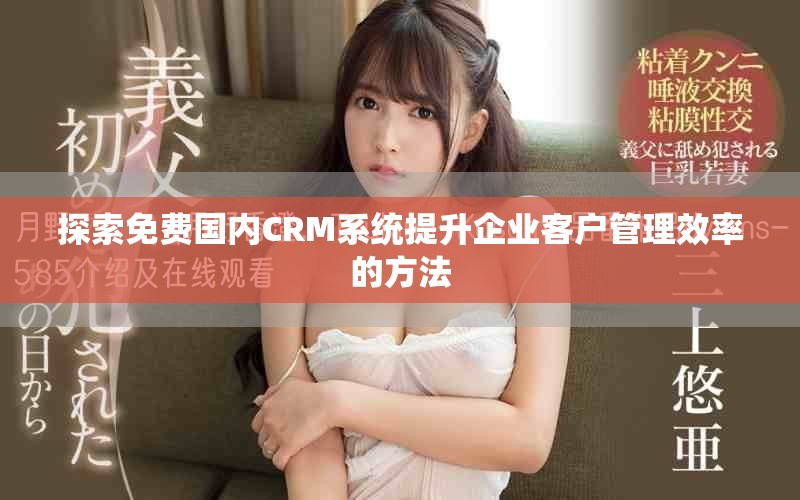 探索免費(fèi)國內(nèi)CRM系統(tǒng)提升企業(yè)客戶管理效率的方法