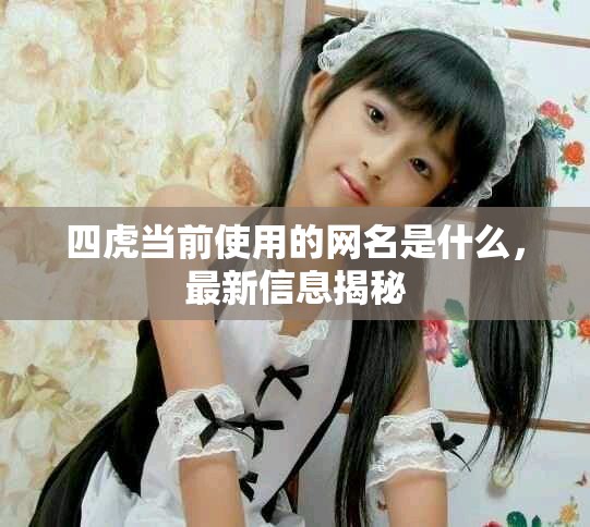 四虎當前使用的網(wǎng)名是什么，最新信息揭秘