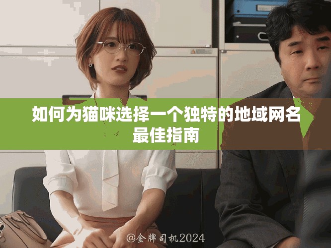 如何為貓咪選擇一個獨特的地域網(wǎng)名最佳指南