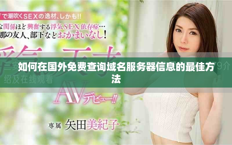 如何在國外免費查詢域名服務(wù)器信息的最佳方法