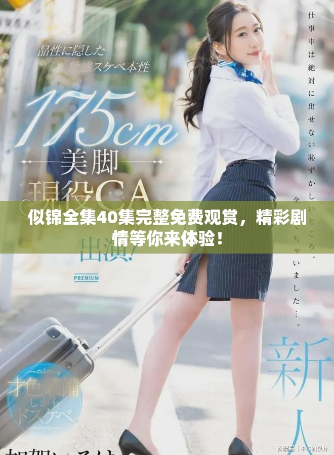 似錦全集40集完整免費觀賞，精彩劇情等你來體驗！