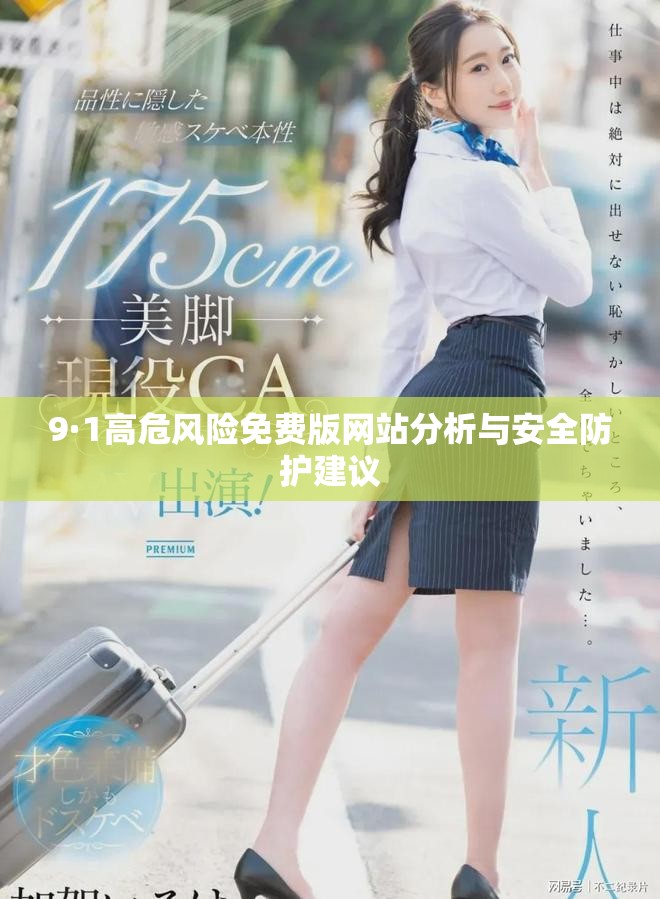 9·1高危風(fēng)險免費版網(wǎng)站分析與安全防護(hù)建議