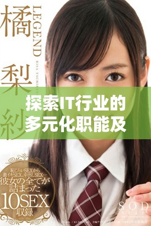 探索IT行業(yè)的多元化職能及其對現(xiàn)代社會的影響