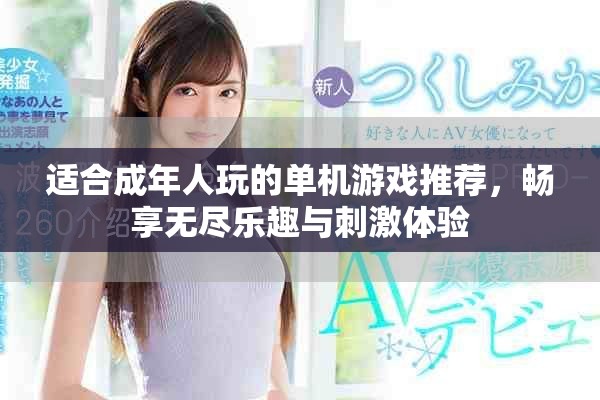 適合成年人玩的單機(jī)游戲推薦，暢享無盡樂趣與刺激體驗