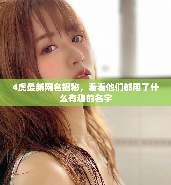 4虎最新網(wǎng)名揭秘，看看他們都用了什么有趣的名字