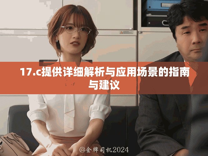 17.c提供詳細(xì)解析與應(yīng)用場景的指南與建議