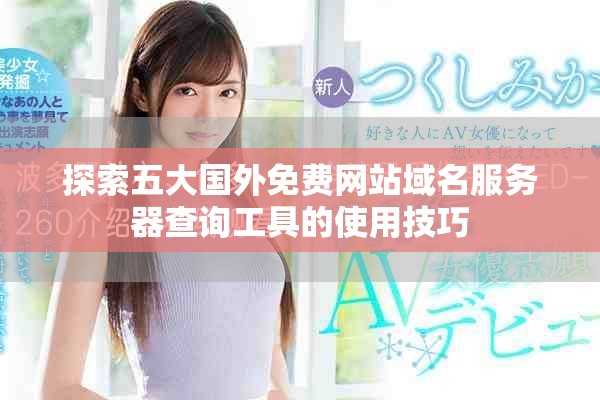 探索五大國(guó)外免費(fèi)網(wǎng)站域名服務(wù)器查詢(xún)工具的使用技巧