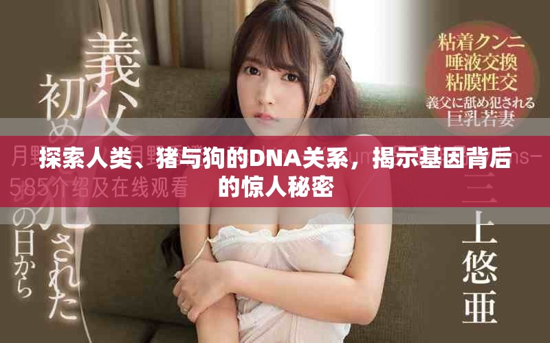 探索人類、豬與狗的DNA關(guān)系，揭示基因背后的驚人秘密