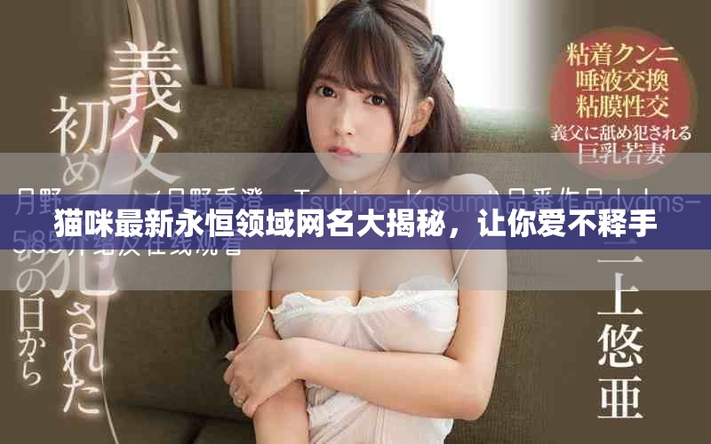 貓咪最新永恒領(lǐng)域網(wǎng)名大揭秘，讓你愛不釋手