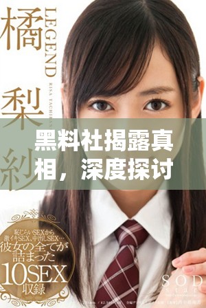 黑料社揭露真相，深度探討社會(huì)隱藏的陰暗面
