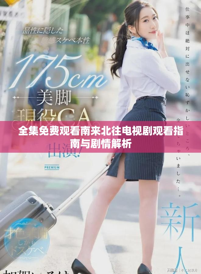 全集免費(fèi)觀看南來北往電視劇觀看指南與劇情解析