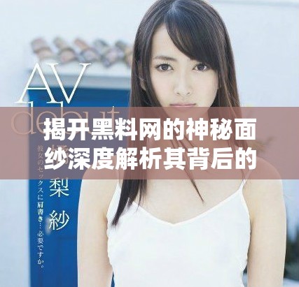 揭開(kāi)黑料網(wǎng)的神秘面紗深度解析其背后的真相與影響
